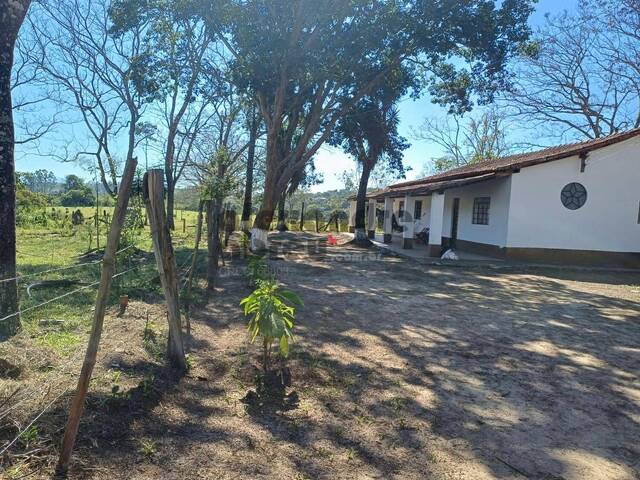Sítio para Venda em Caçapava - 4