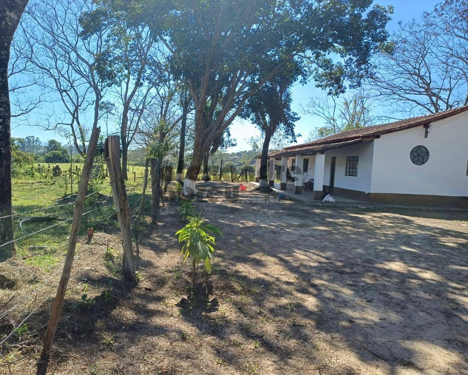 Terreno, 10 hectares - Foto 4