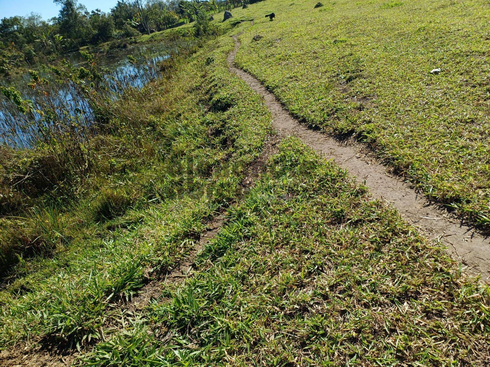 Terreno, 10 hectares - Foto 21