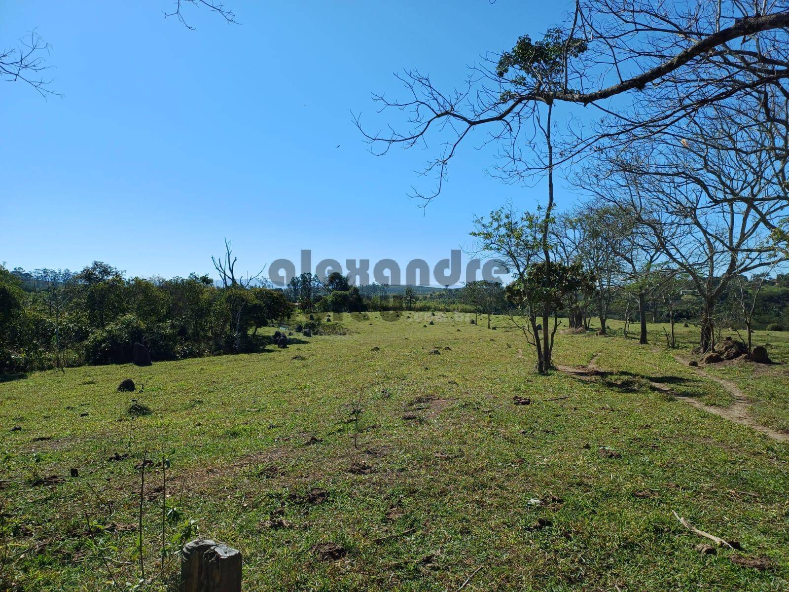 Terreno, 10 hectares - Foto 23