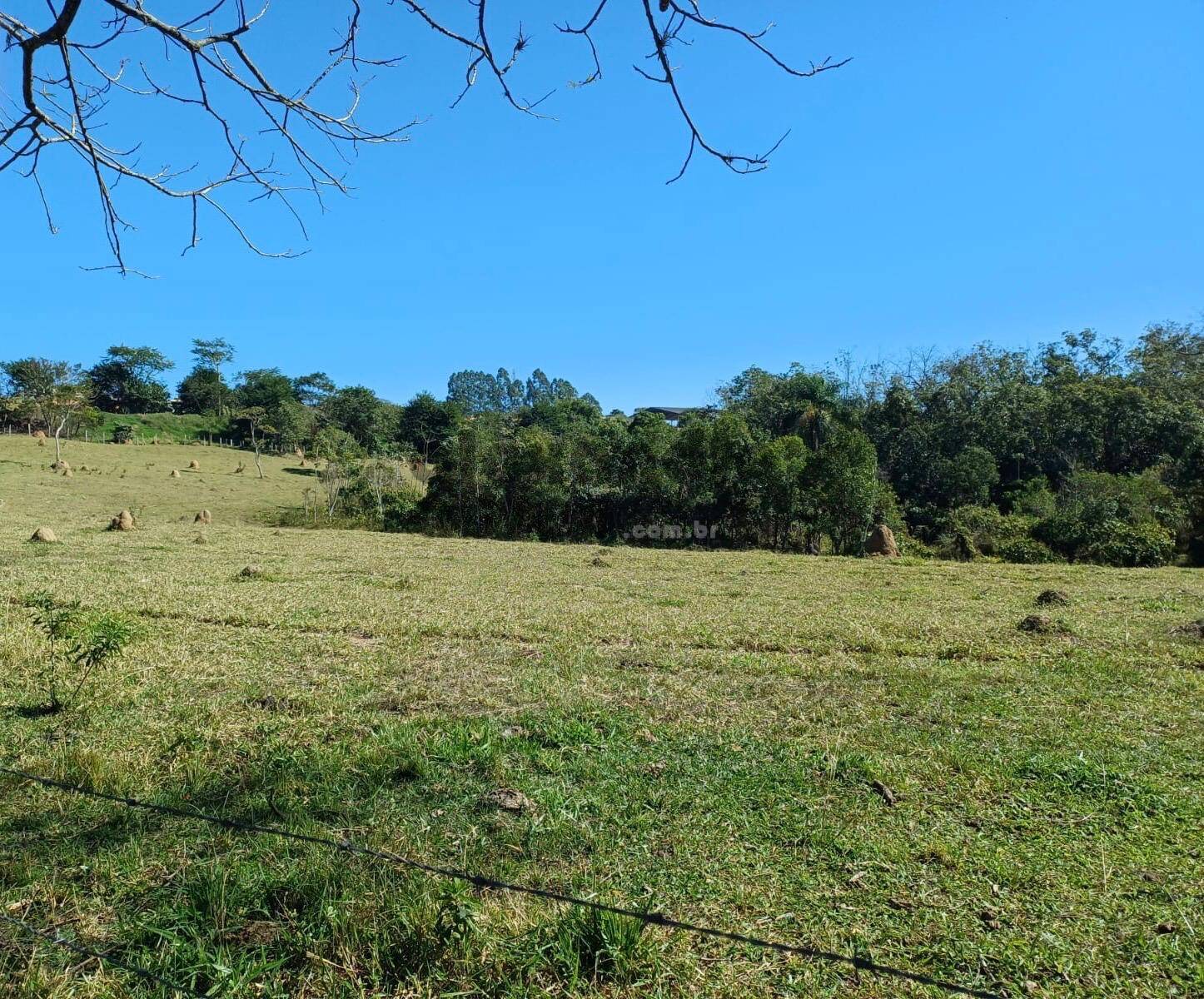 Terreno, 10 hectares - Foto 24