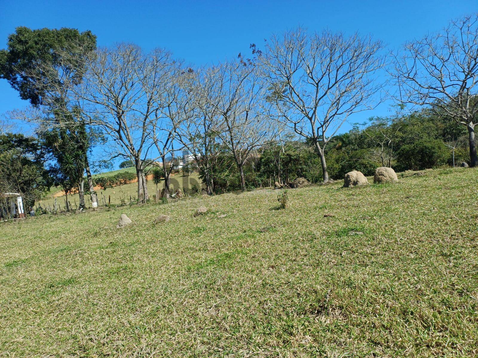 Terreno, 10 hectares - Foto 25