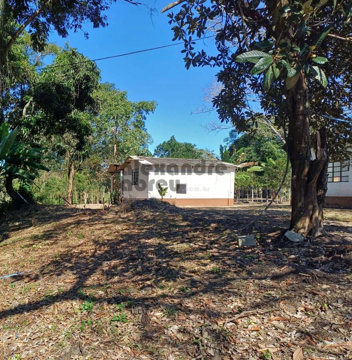 Terreno, 10 hectares - Foto 6