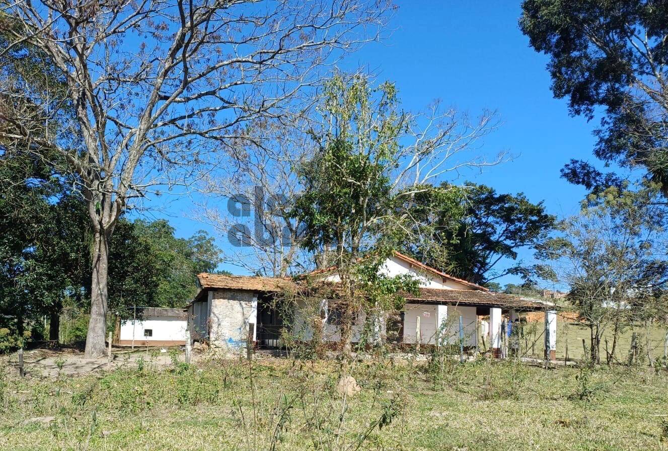 Terreno, 10 hectares - Foto 7