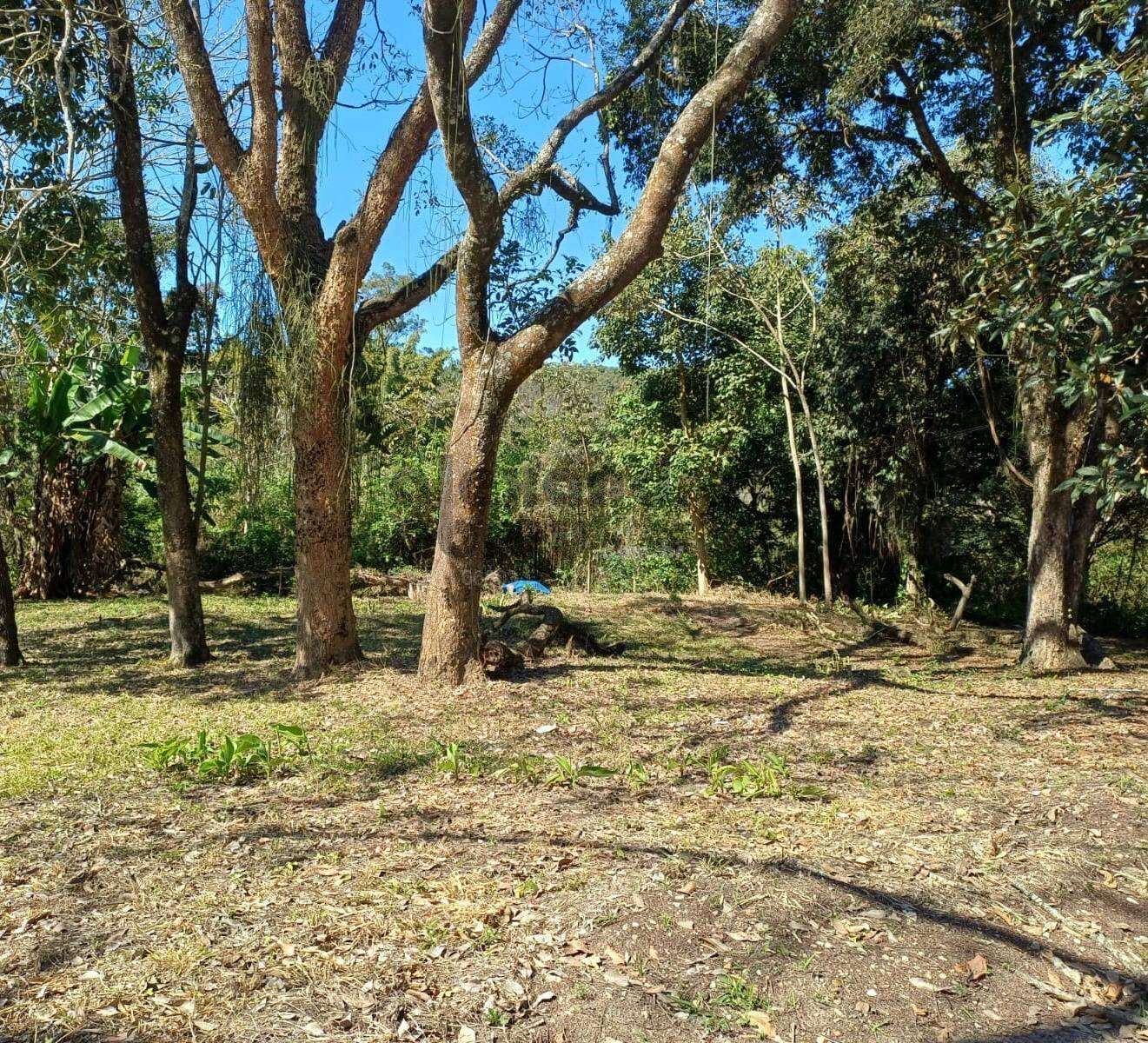 Terreno, 10 hectares - Foto 26