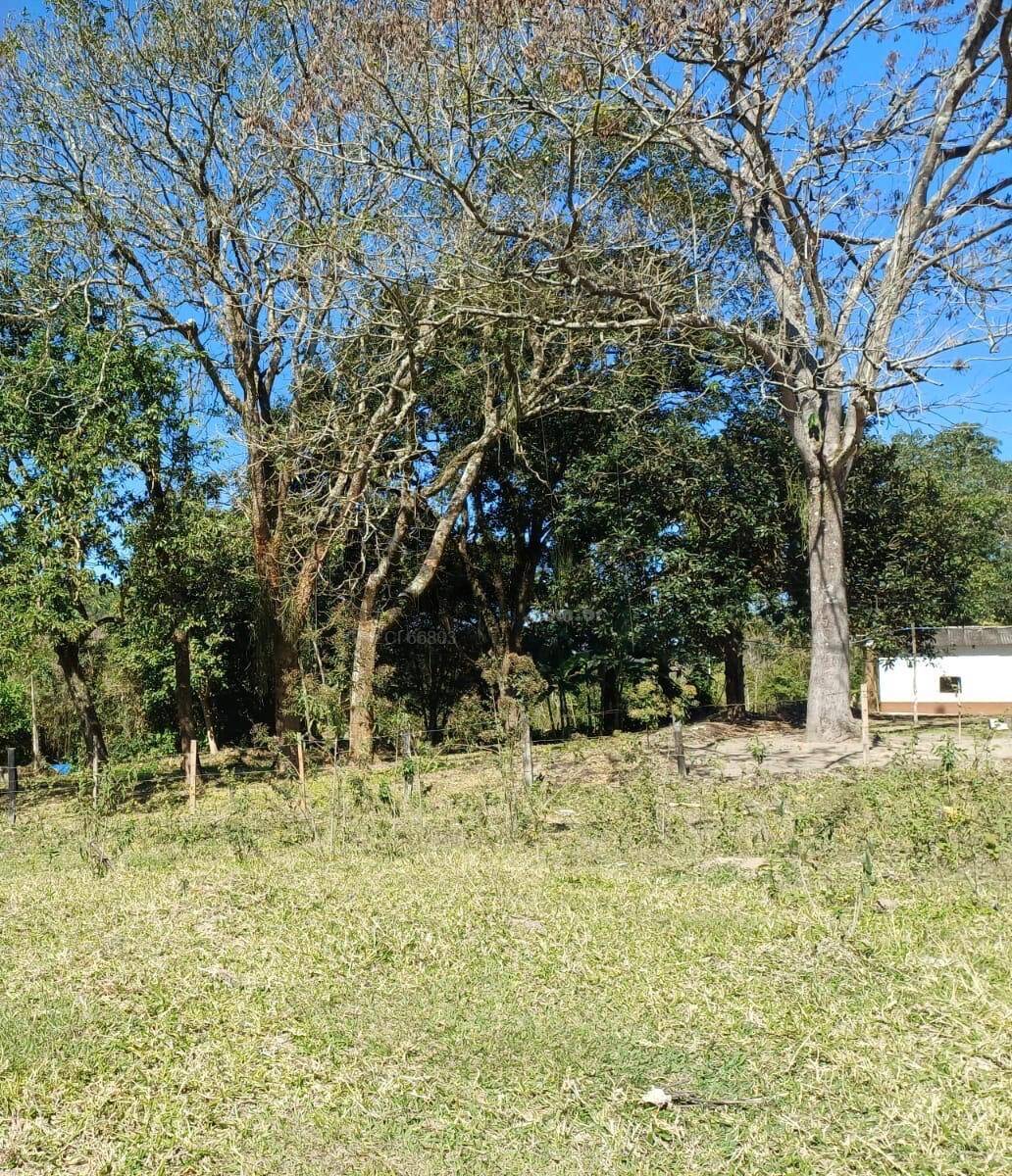 Terreno, 10 hectares - Foto 14