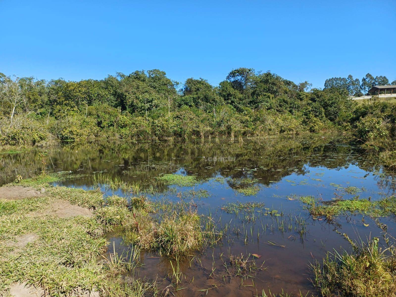 Terreno, 10 hectares - Foto 19