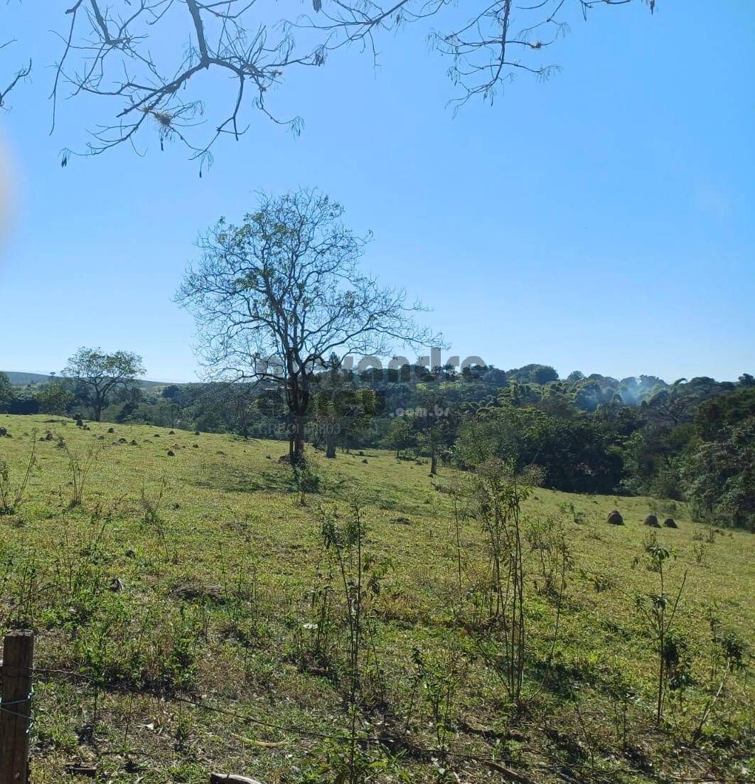 Terreno, 10 hectares - Foto 27