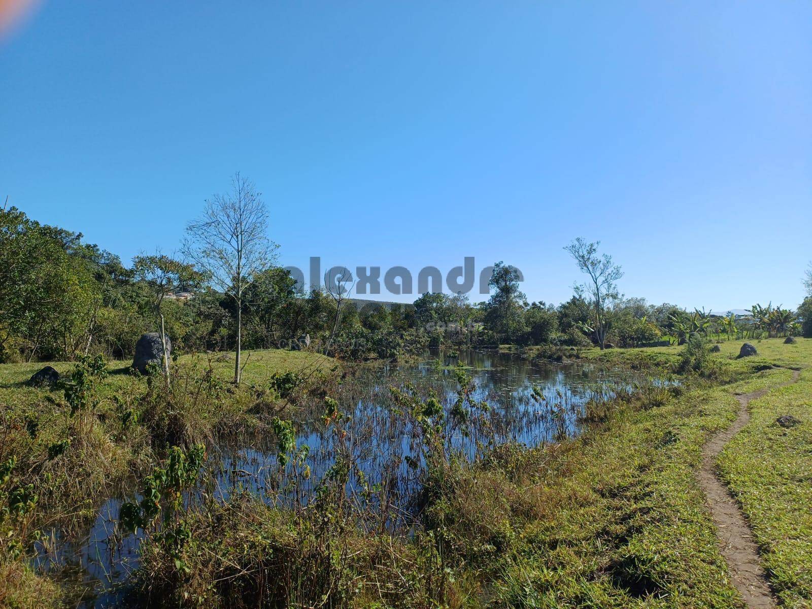 Terreno, 10 hectares - Foto 20