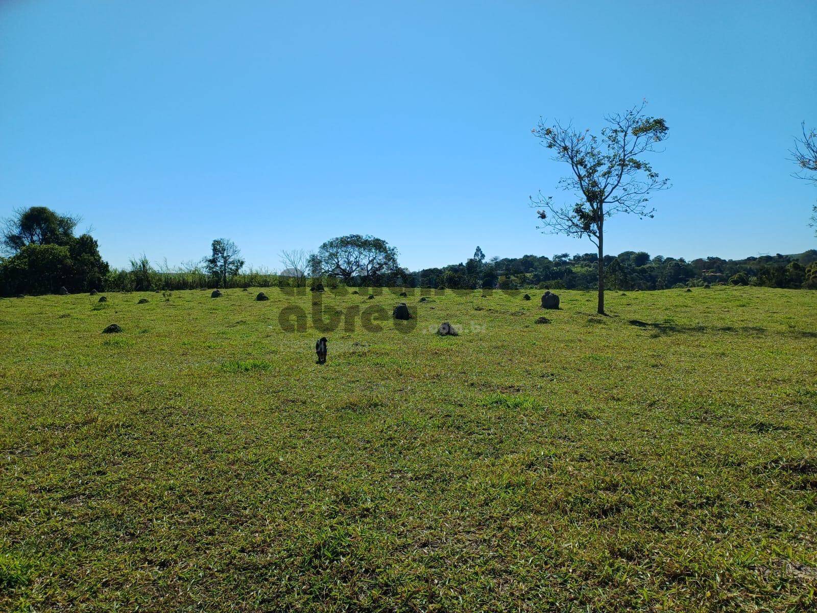 Terreno, 10 hectares - Foto 28