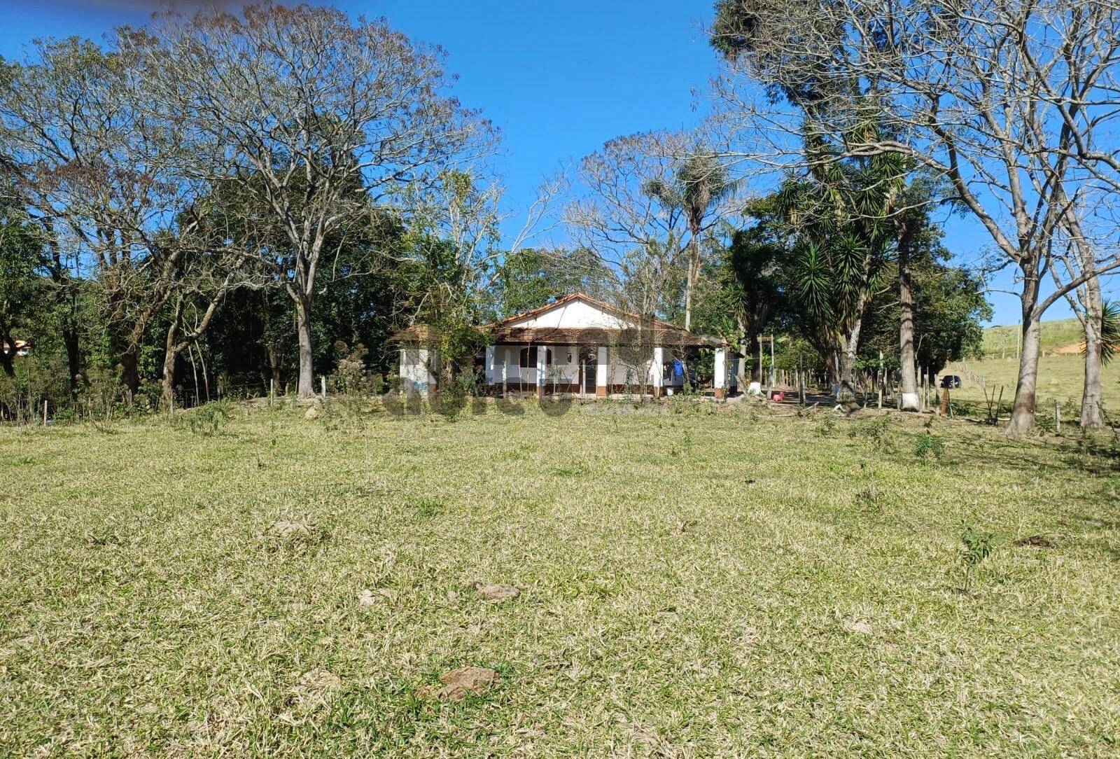 Terreno, 10 hectares - Foto 13