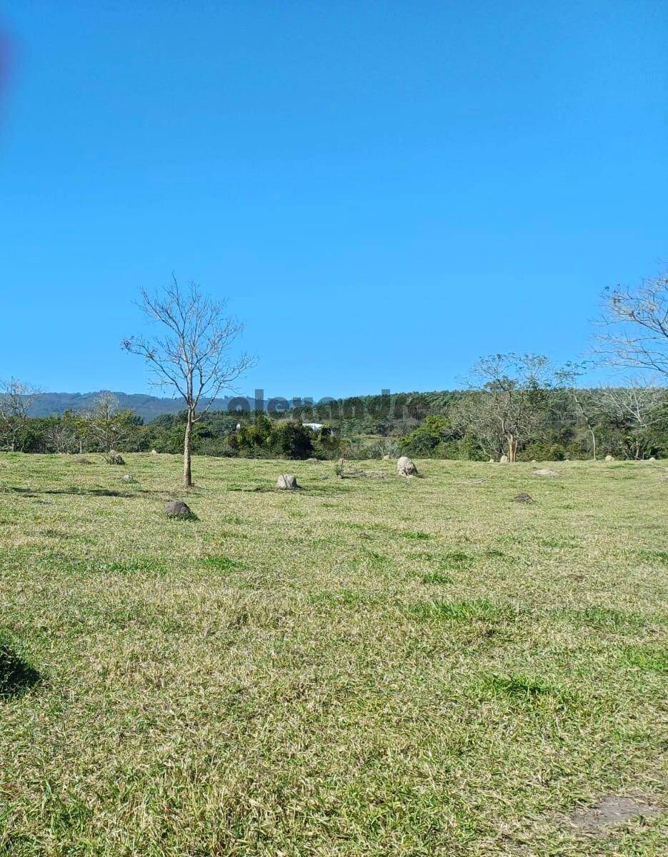 Terreno, 10 hectares - Foto 29