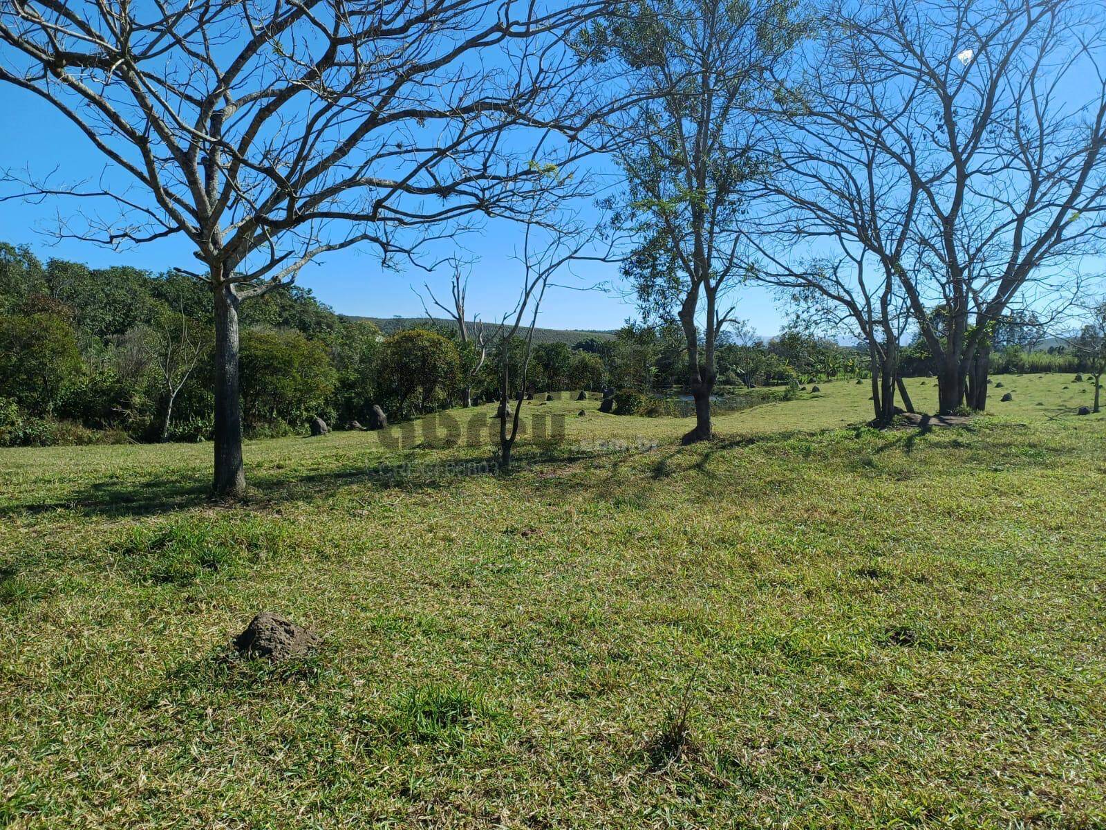 Terreno, 10 hectares - Foto 30