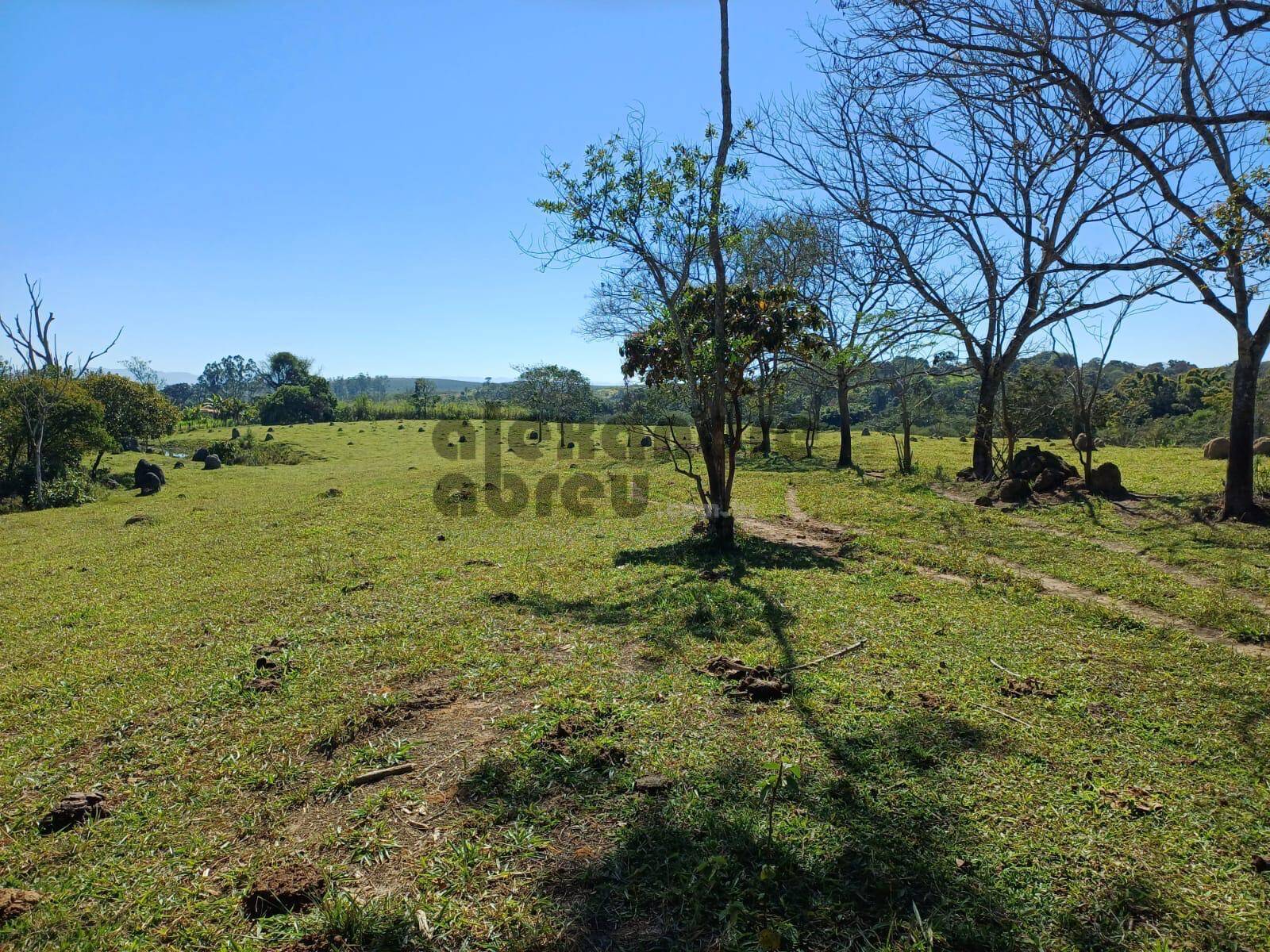 Terreno, 10 hectares - Foto 31