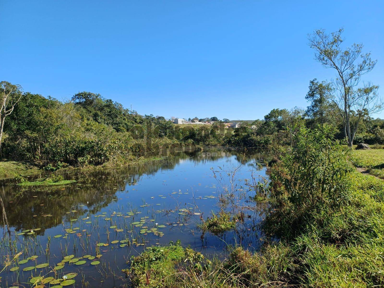 Terreno, 10 hectares - Foto 18