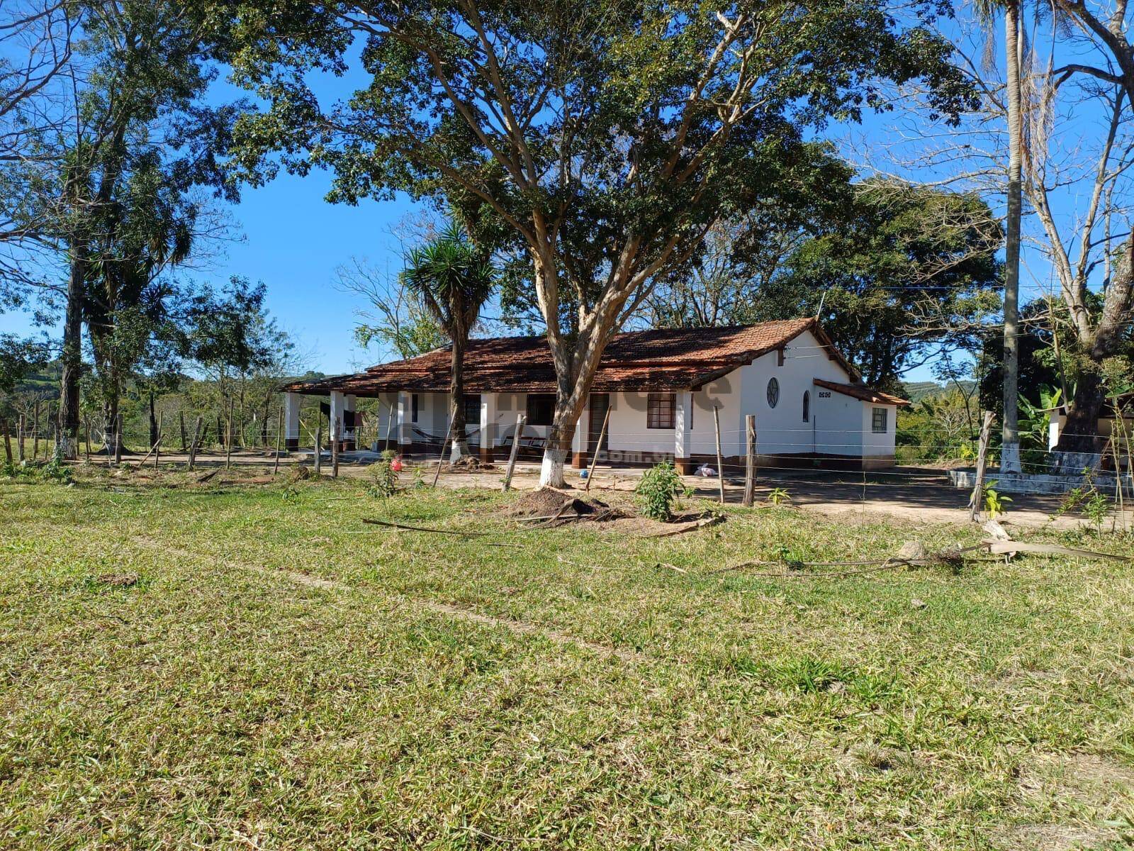 Terreno, 10 hectares - Foto 8