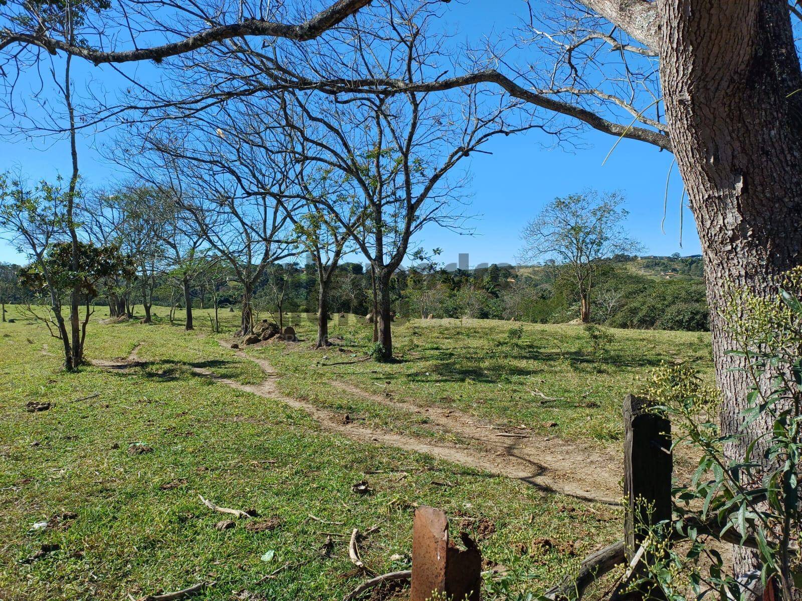 Terreno, 10 hectares - Foto 37