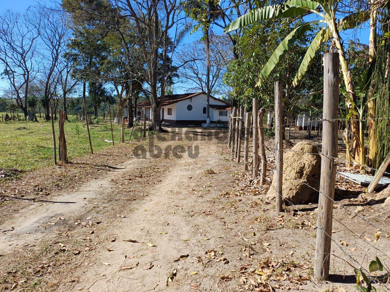 Terreno, 10 hectares - Foto 15