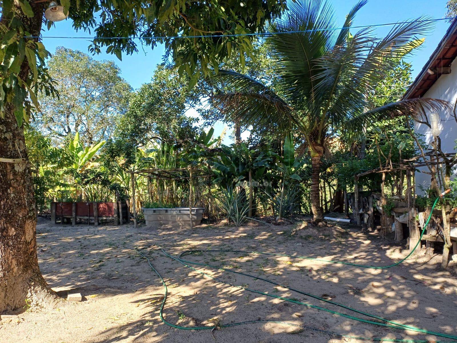 Terreno, 10 hectares - Foto 17