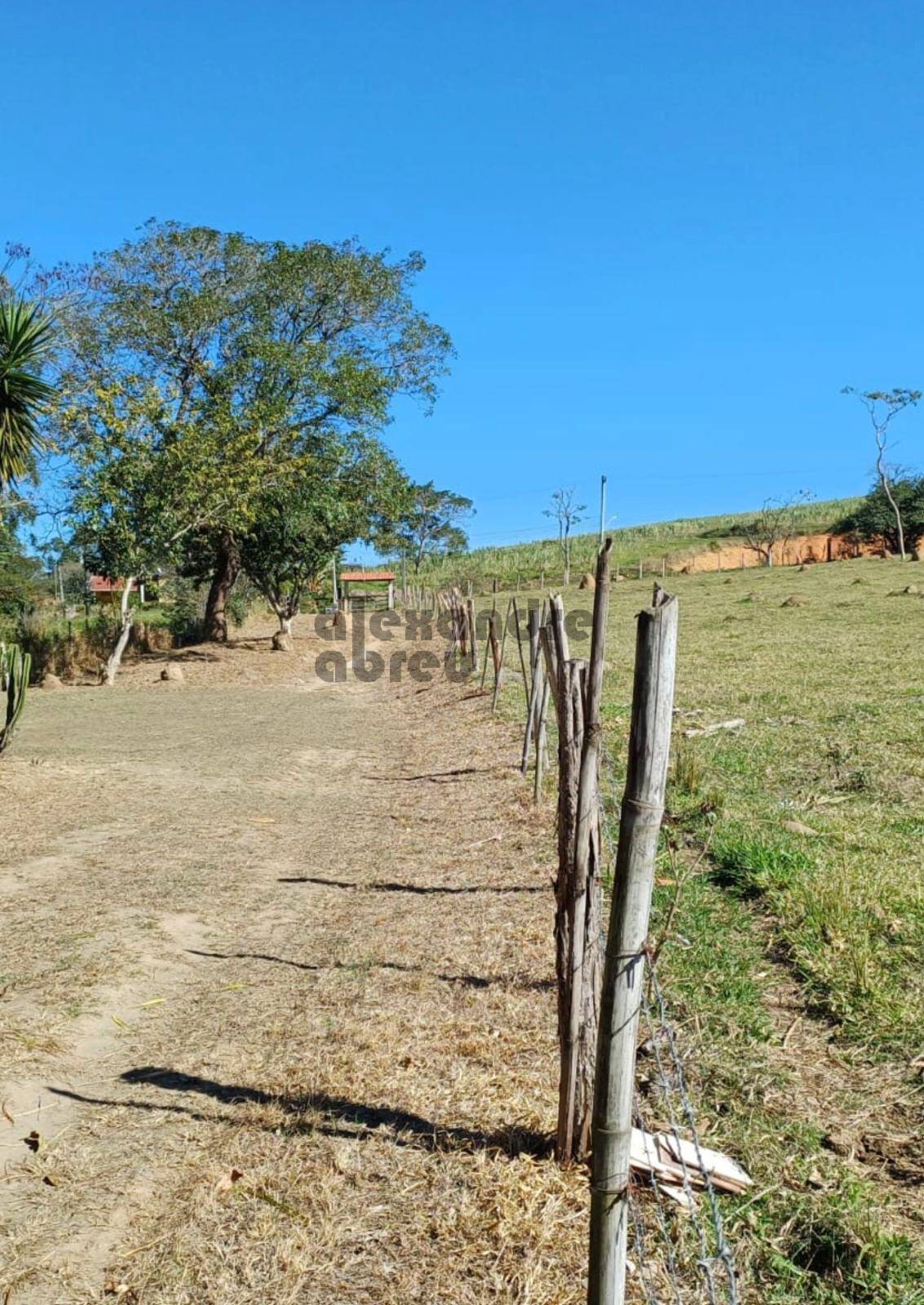 Terreno, 10 hectares - Foto 38