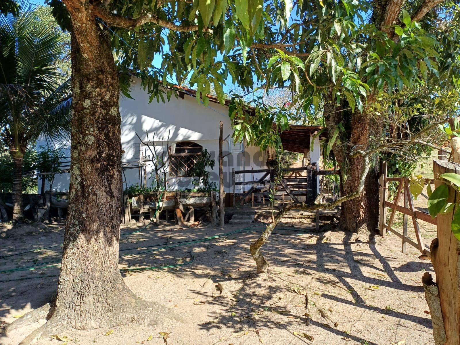 Terreno, 10 hectares - Foto 12